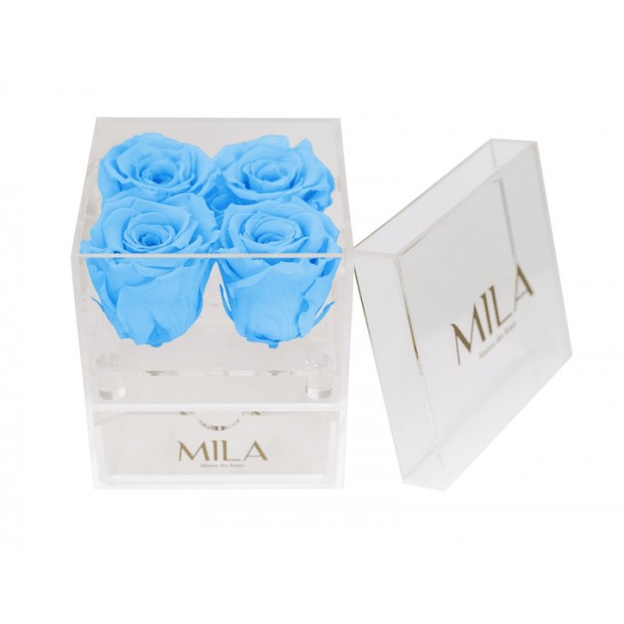 Mila Acrylic Mini Bijou