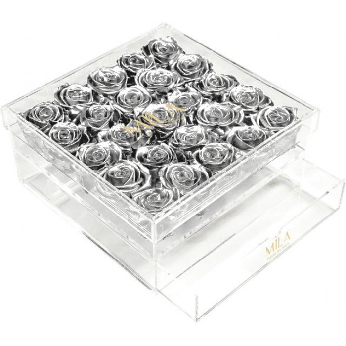 Mila Acrylic Large Bijou - Metallic Silver