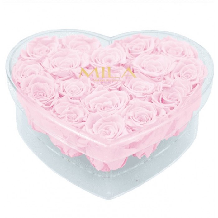 Mila Acrylic Large Heart - Pink Blush