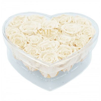 Produit Mila-Roses-00585 Mila Acrylic Large Heart - Champagne