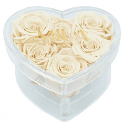 Produit Mila-Roses-00609 Mila Acrylic Small Heart - Champagne