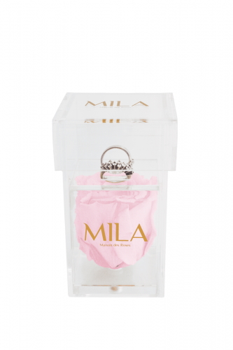 Produit Mila-Roses-00652 Mila Acrylic Single Ring - Pink Blush