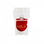  Mila-Roses-00654 Mila Acrylic Single Ring - Rouge Amour