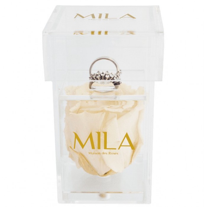 Mila Acrylic Single Ring