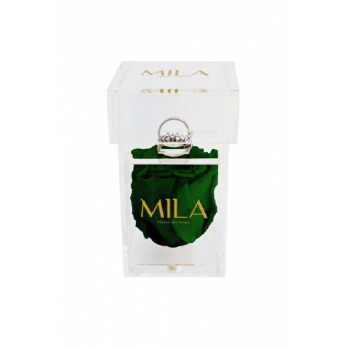 Mila Acrylic Single Ring - Emeraude