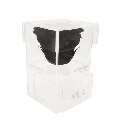 Produit Mila-Roses-00673 Mila Acrylic Baby Bijou - Black Velvet