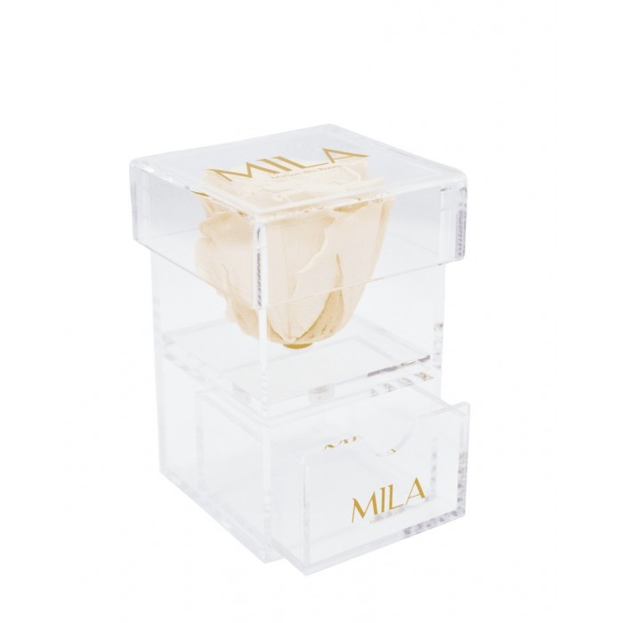 Mila Acrylic Baby Bijou - Champagne