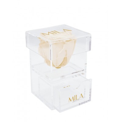 Produit Mila-Roses-00681 Mila Acrylic Baby Bijou - Champagne