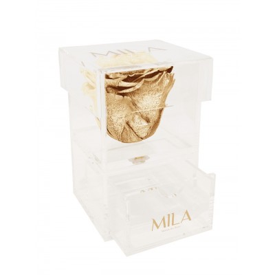 Produit Mila-Roses-00682 Mila Acrylic Baby Bijou - Metallic Gold