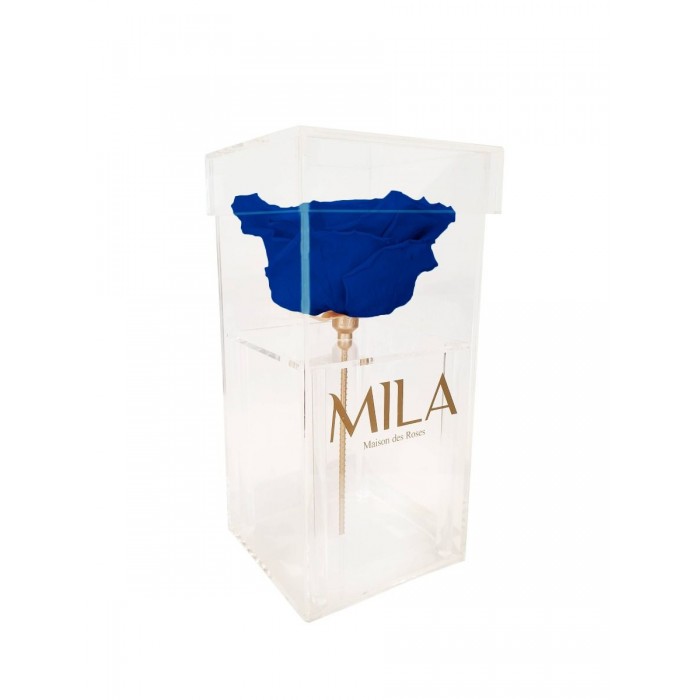 Mila Acrylic Single XXL