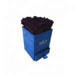  Mila-Roses-00707 Mila Velvet Mini Royal Blue Velvet Mini - Velvet purple