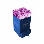  Mila-Roses-00709 Mila Velvet Mini Royal Blue Velvet Mini - Mauve