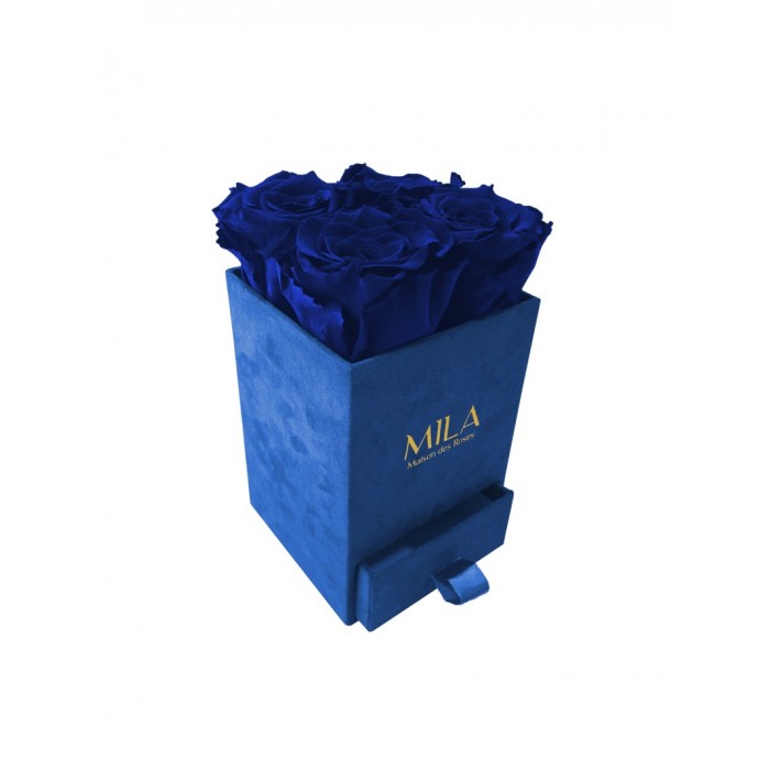 Mila Velvet Mini Royal Blue Velvet Mini - Royal blue