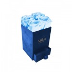  Mila-Roses-00713 Mila Velvet Mini Royal Blue Velvet Mini - Baby blue