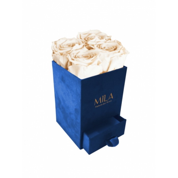 Mila Velvet Mini Royal Blue Velvet Mini - Champagne