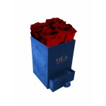  Mila-Roses-00720 Mila Velvet Mini Royal Blue Velvet Mini - Rubis Rouge