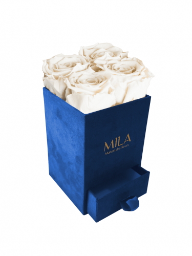 Produit Mila-Roses-00726 Mila Velvet Mini Royal Blue Velvet Mini - White Cream