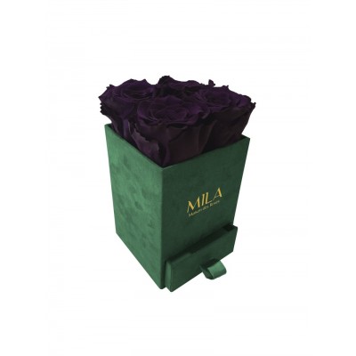 Produit Mila-Roses-00731 Mila Velvet Mini Emeraude Velvet Mini - Velvet purple