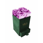  Mila-Roses-00733 Mila Velvet Mini Emeraude Velvet Mini - Mauve