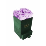  Mila-Roses-00734 Mila Velvet Mini Emeraude Velvet Mini - Lavender