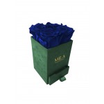  Mila-Roses-00735 Mila Velvet Mini Emeraude Velvet Mini - Royal blue