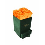  Mila-Roses-00743 Mila Velvet Mini Emeraude Velvet Mini - Orange Bloom