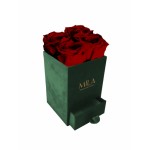  Mila-Roses-00744 Mila Velvet Mini Emeraude Velvet Mini - Rubis Rouge