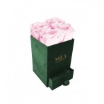  Mila-Roses-00747 Mila Velvet Mini Emeraude Velvet Mini - Pink Blush