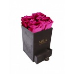  Mila-Roses-00754 Mila Velvet Mini Dark Grey Velvet Mini - Fuchsia