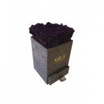  Mila-Roses-00755 Mila Velvet Mini Dark Grey Velvet Mini - Velvet purple