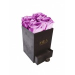  Mila-Roses-00757 Mila Velvet Mini Dark Grey Velvet Mini - Mauve