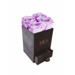  Mila-Roses-00758 Mila Velvet Mini Dark Grey Velvet Mini - Lavender