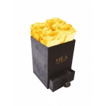  Mila-Roses-00762 Mila Velvet Mini Dark Grey Velvet Mini - Yellow Sunshine