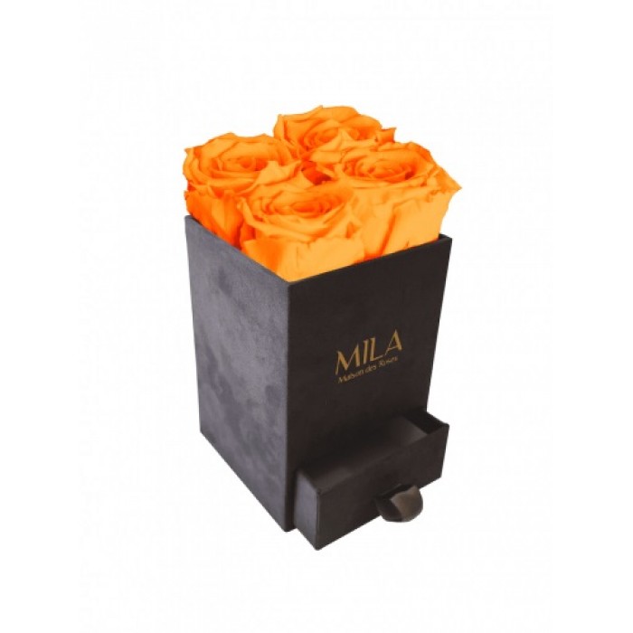 Mila Velvet Mini Dark Grey Velvet Mini - Orange Bloom