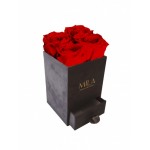  Mila-Roses-00769 Mila Velvet Mini Dark Grey Velvet Mini - Rouge Amour