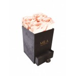  Mila-Roses-00770 Mila Velvet Mini Dark Grey Velvet Mini - Pure Peach