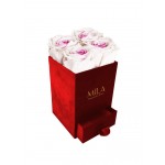  Mila-Roses-00776 Mila Velvet Mini Red Velvet Mini - Pink bottom