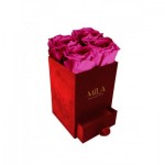  Mila-Roses-00778 Mila Velvet Mini Red Velvet Mini - Fuchsia