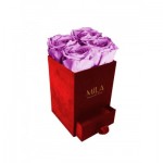  Mila-Roses-00781 Mila Velvet Mini Red Velvet Mini - Mauve