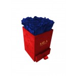  Mila-Roses-00783 Mila Velvet Mini Red Velvet Mini - Royal blue