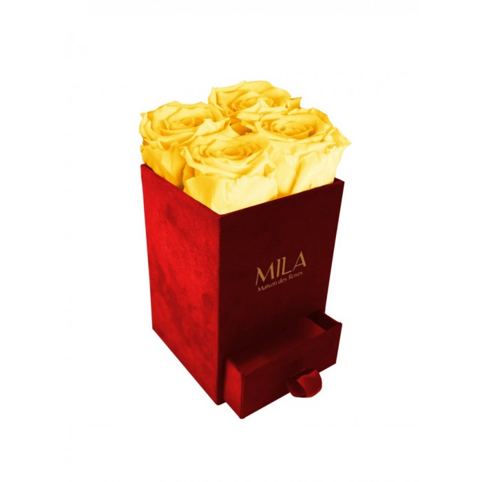 Mila Velvet Mini Red Velvet Mini - Yellow Sunshine