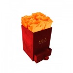  Mila-Roses-00791 Mila Velvet Mini Red Velvet Mini - Orange Bloom