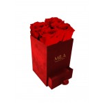  Mila-Roses-00793 Mila Velvet Mini Red Velvet Mini - Rouge Amour