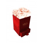  Mila-Roses-00794 Mila Velvet Mini Red Velvet Mini - Pure Peach