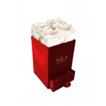  Mila-Roses-00798 Mila Velvet Mini Red Velvet Mini - White Cream