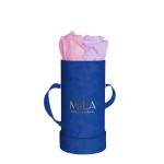  Mila-Roses-00799 Mila Velvet Baby Royal Blue Velvet Baby - Vintage rose