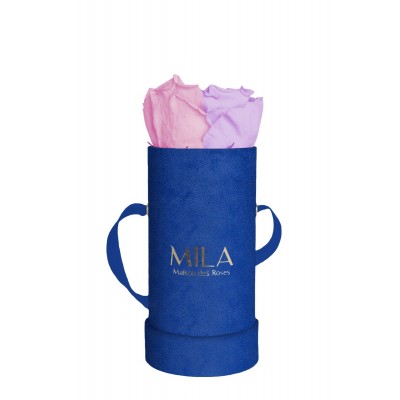 Produit Mila-Roses-00799 Mila Velvet Baby Royal Blue Velvet Baby - Vintage rose