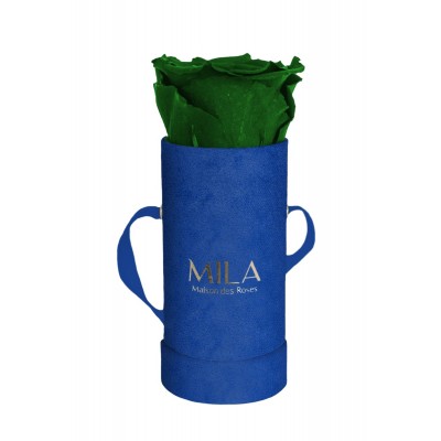 Produit Mila-Roses-00801 Mila Velvet Baby Royal Blue Velvet Baby - Emeraude