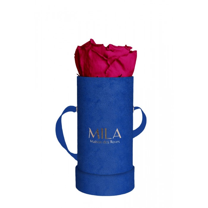 Mila Velvet Baby Royal Blue Velvet Baby - Fuchsia