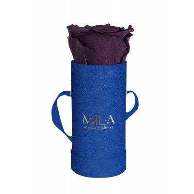 Produit Mila-Roses-00803 Mila Velvet Baby Royal Blue Velvet Baby - Velvet purple